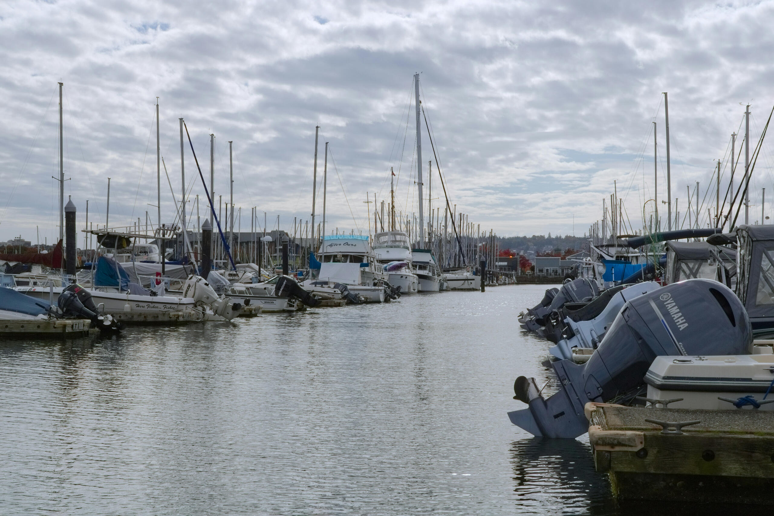 Everett Marina